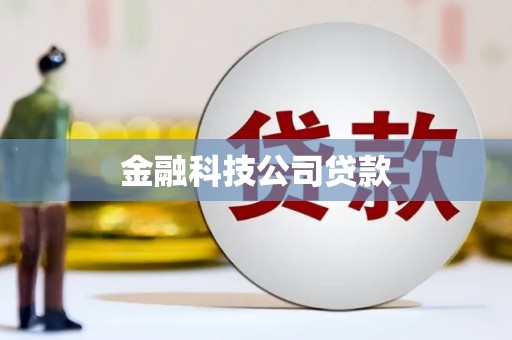 鹿野金融科技公司贷款