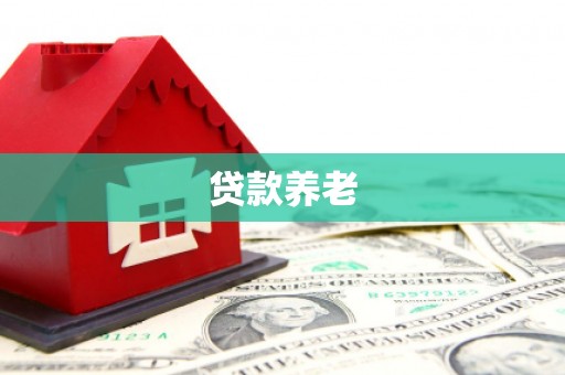 鹿野贷款养老