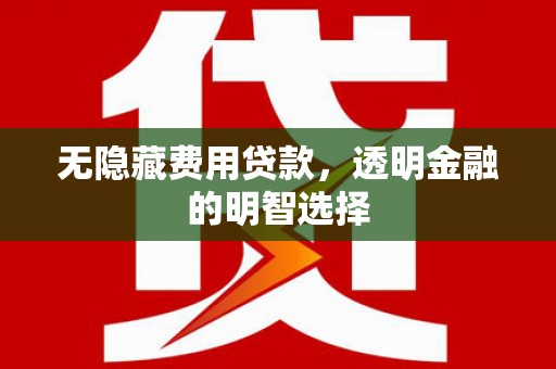 鹿野无隐藏费用贷款，透明金融的明智选择