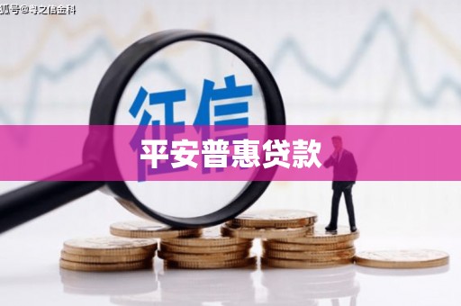 鹿野平安普惠贷款
