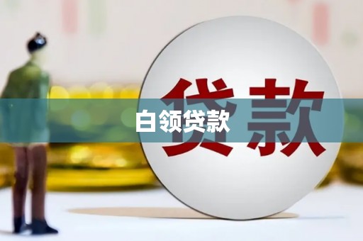 鹿野白领贷款