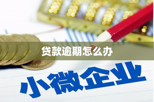 鹿野贷款逾期怎么办