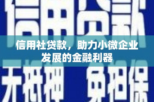 鹿野信用社贷款，助力小微企业发展的金融利器