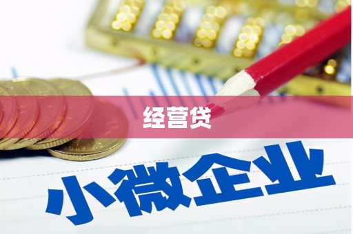 鹿野经营贷