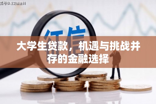 鹿野大学生贷款，机遇与挑战并存的金融选择