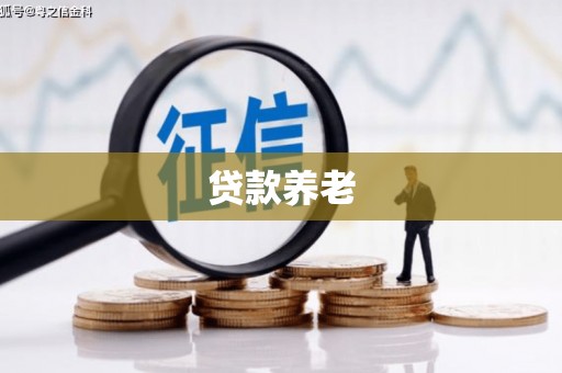鹿野贷款养老