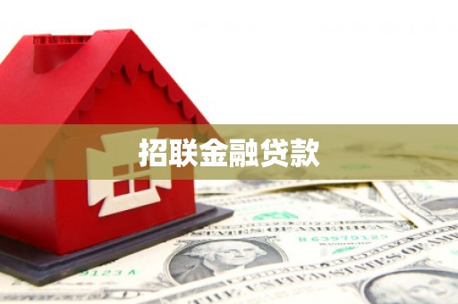 鹿野招联金融贷款