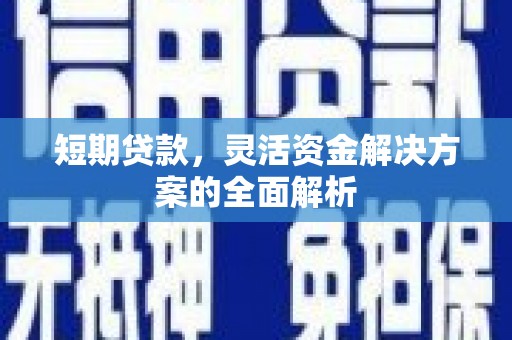 鹿野短期贷款，灵活资金解决方案的全面解析