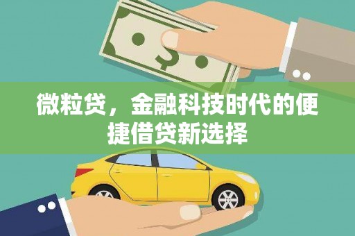 鹿野微粒贷，金融科技时代的便捷借贷新选择