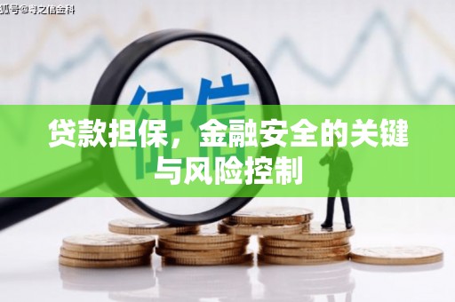 鹿野贷款担保，金融安全的关键与风险控制