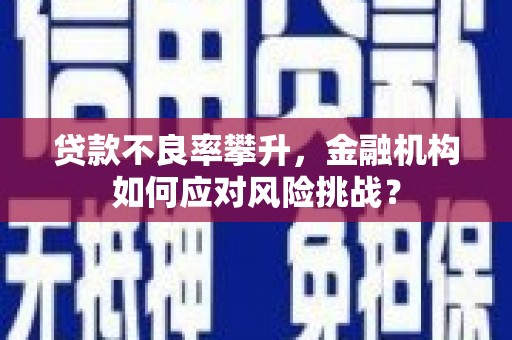 鹿野贷款不良率攀升，金融机构如何应对风险挑战？