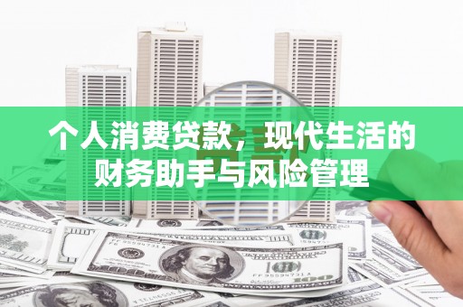 鹿野个人消费贷款，现代生活的财务助手与风险管理