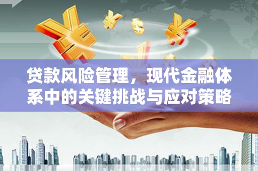 鹿野贷款风险管理，现代金融体系中的关键挑战与应对策略