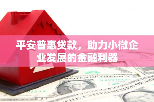 鹿野平安普惠贷款，助力小微企业发展的金融利器