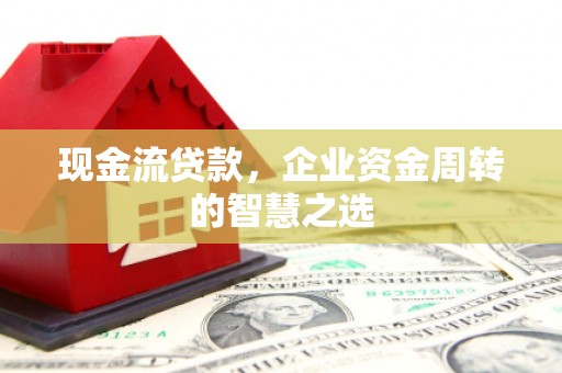 鹿野现金流贷款，企业资金周转的智慧之选