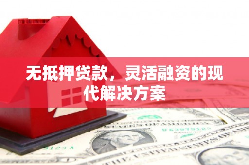 鹿野无抵押贷款，灵活融资的现代解决方案