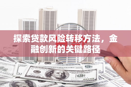 鹿野探索贷款风险转移方法，金融创新的关键路径