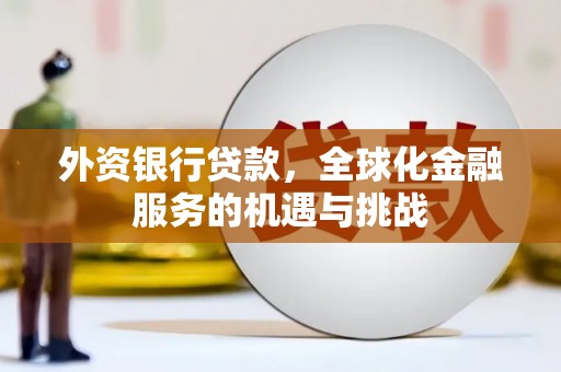 鹿野外资银行贷款，全球化金融服务的机遇与挑战