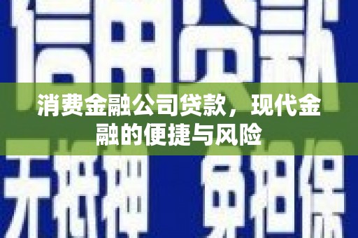 鹿野消费金融公司贷款，现代金融的便捷与风险