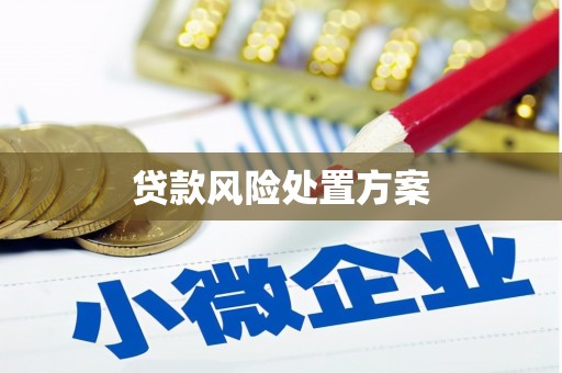 鹿野贷款风险处置方案