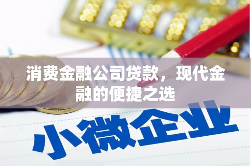 鹿野消费金融公司贷款，现代金融的便捷之选