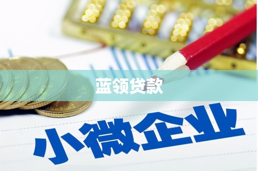 鹿野蓝领贷款