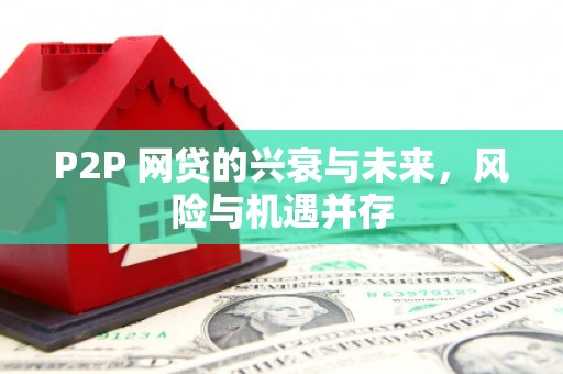 鹿野P2P 网贷的兴衰与未来，风险与机遇并存