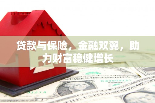 鹿野贷款与保险，金融双翼，助力财富稳健增长