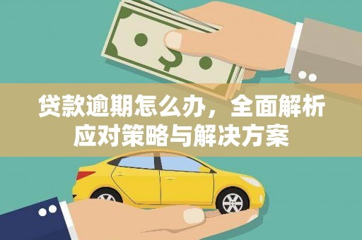 鹿野贷款逾期怎么办，全面解析应对策略与解决方案
