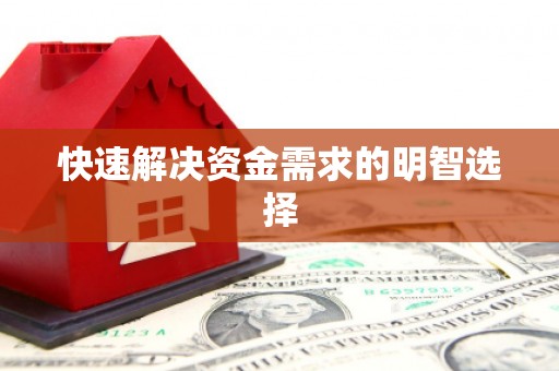 鹿野快速解决资金需求的明智选择