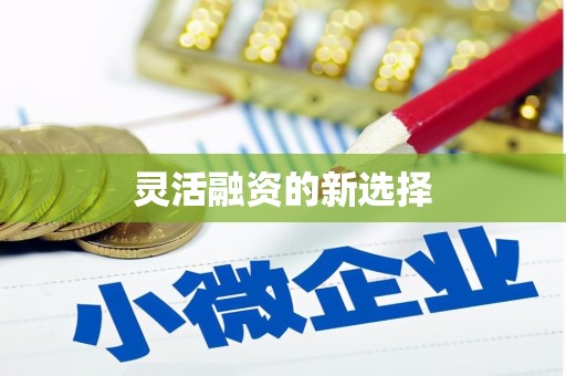 鹿野灵活融资的新选择