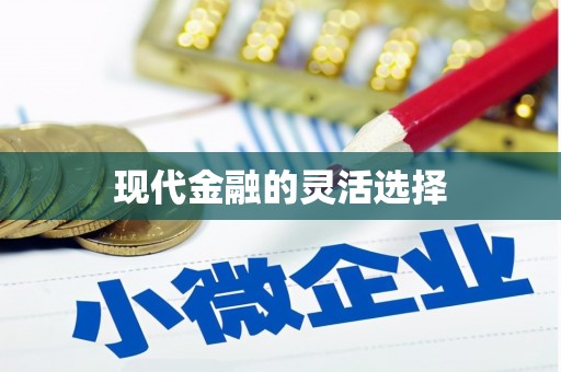 鹿野现代金融的灵活选择