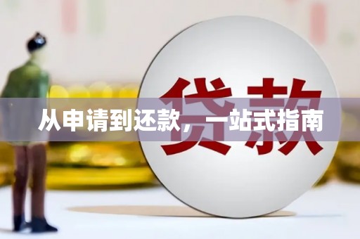鹿野从申请到还款，一站式指南