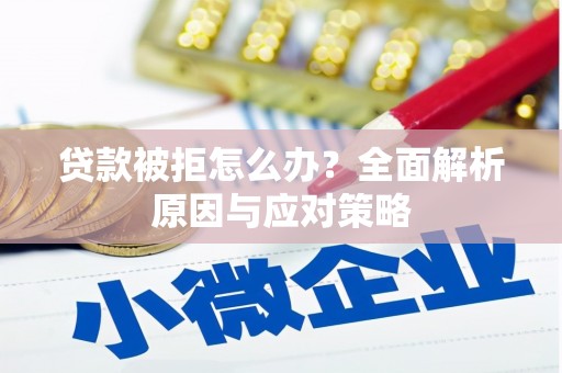 鹿野贷款被拒怎么办？全面解析原因与应对策略
