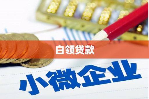 鹿野白领贷款