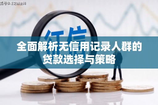 鹿野全面解析无信用记录人群的贷款选择与策略