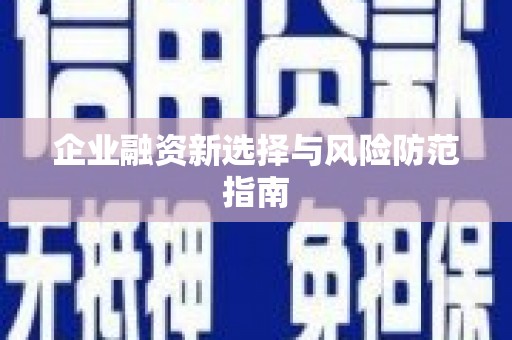 鹿野企业融资新选择与风险防范指南