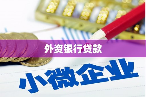 鹿野外资银行贷款