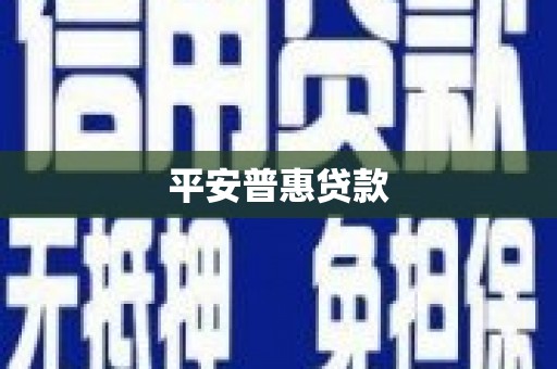 鹿野平安普惠贷款